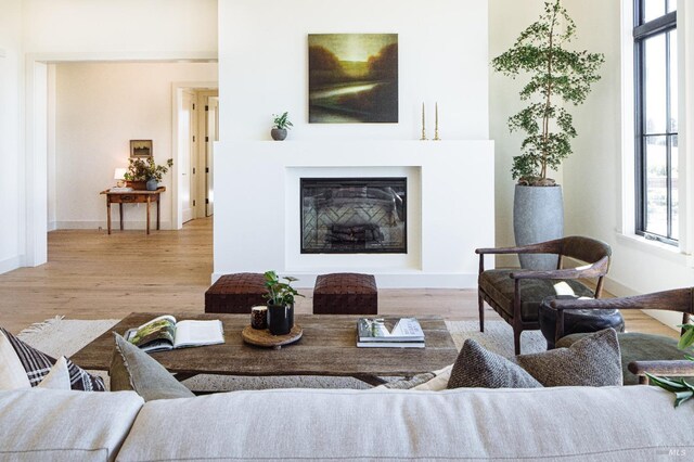 living room featuring light hardwood / wood-style floors