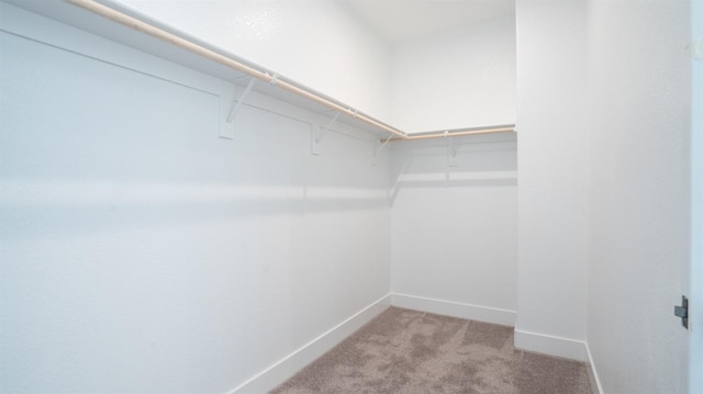 walk in closet with light colored carpet