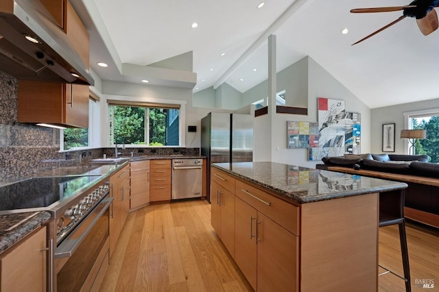 kitchen with a kitchen island, lofted ceiling, appliances with stainless steel finishes, under cabinet range hood, and light wood-type flooring