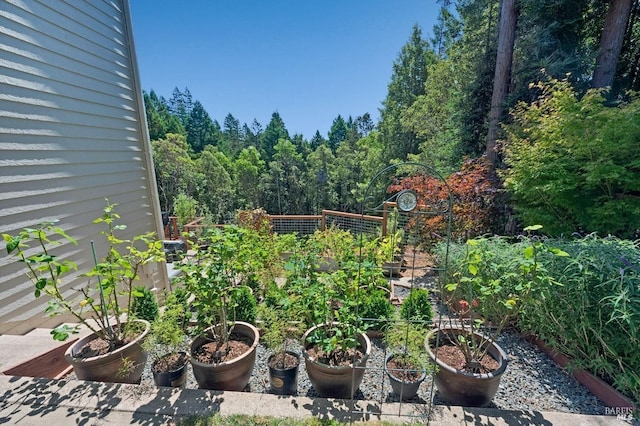 view of yard with a vegetable garden