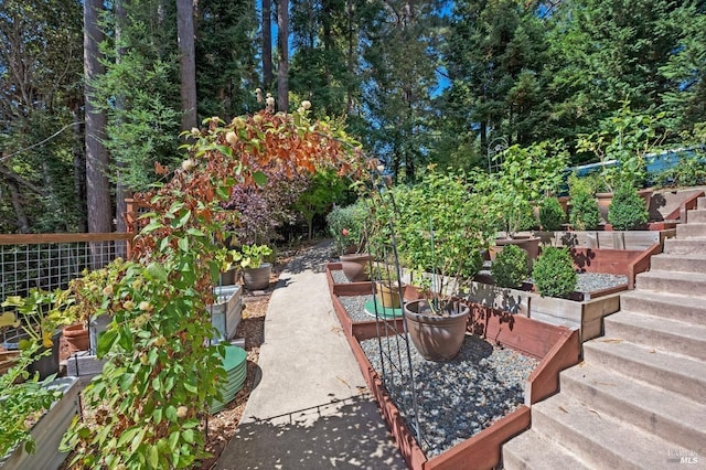 view of patio / terrace with a garden