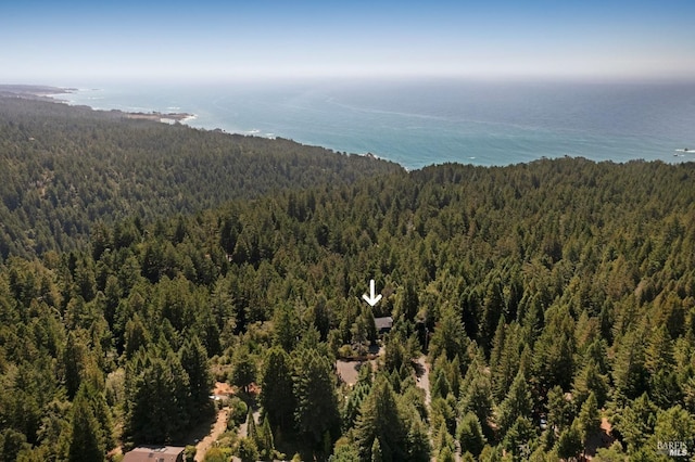 birds eye view of property with a water view and a wooded view