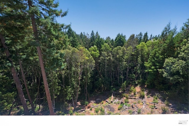 view of local wilderness featuring a wooded view