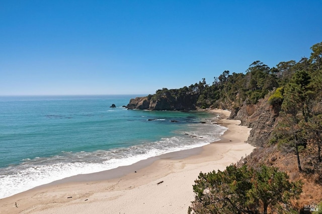 water view featuring a beach view