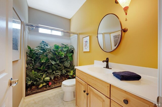 bathroom featuring walk in shower, vanity, and toilet