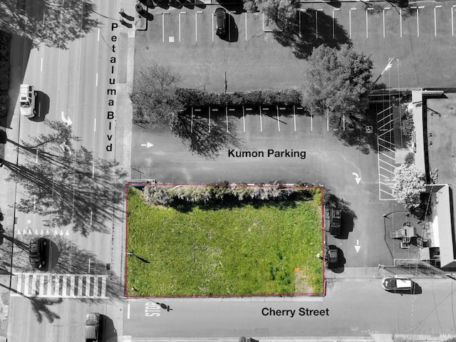 719 Petaluma Blvd N, Petaluma, CA 94952