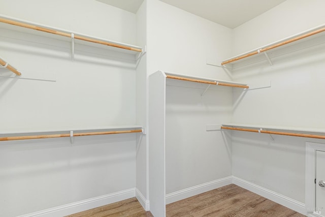 spacious closet featuring light hardwood / wood-style floors