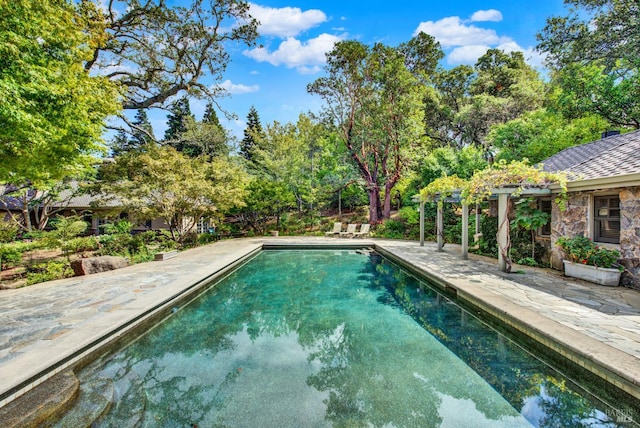 view of pool with a pergola