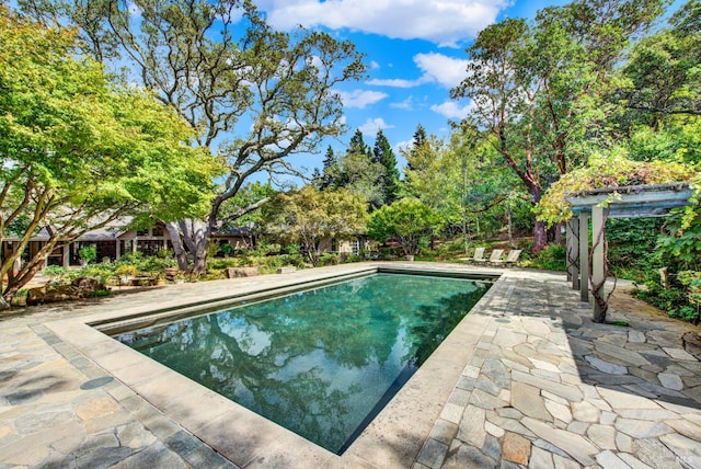 view of swimming pool with a patio