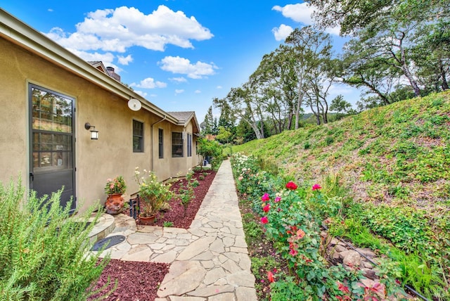 view of yard featuring a patio area