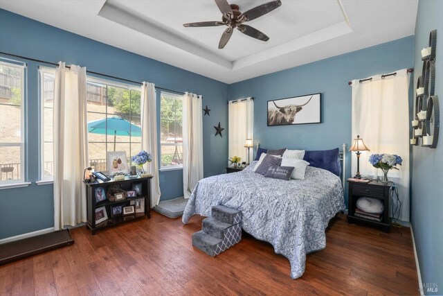 bedroom with a raised ceiling, dark hardwood / wood-style floors, and ceiling fan