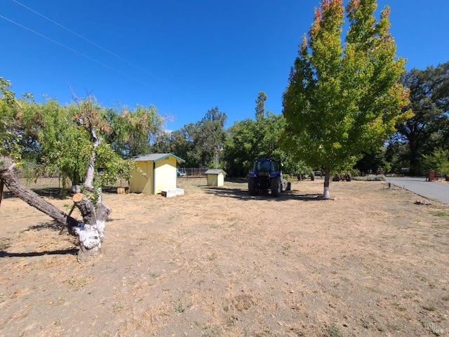 view of yard featuring a storage shed