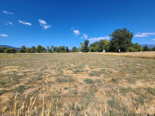 view of landscape featuring a rural view