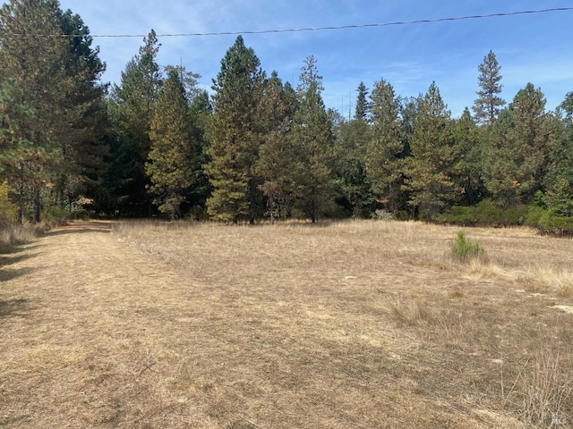 Listing photo 3 for 180 Mulligan Rd, Laytonville CA 95454