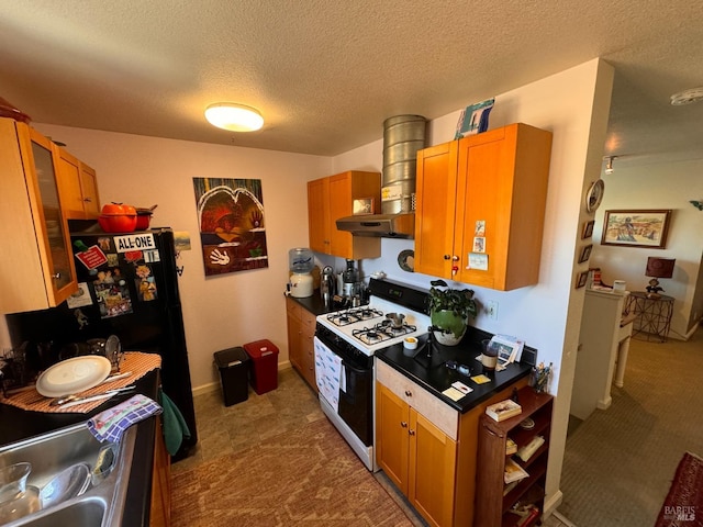 kitchen featuring a textured ceiling, gas range gas stove, a wood stove, carpet, and black refrigerator