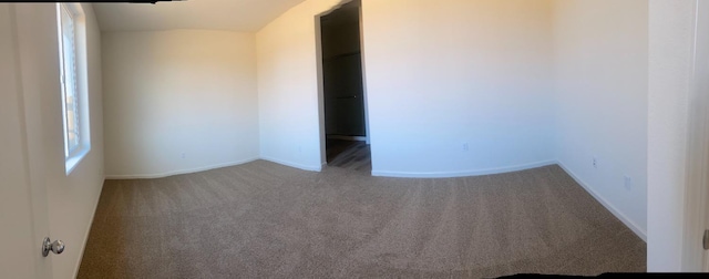 spare room featuring carpet floors