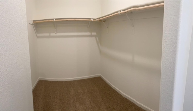 spacious closet featuring carpet floors