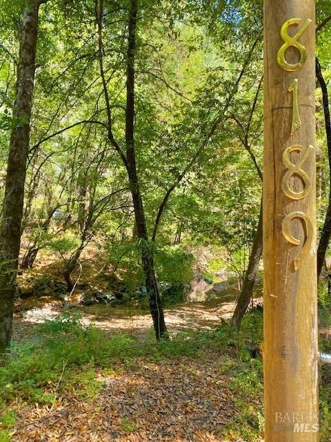 8189 Tyrone Rd, Occidental, CA 95462