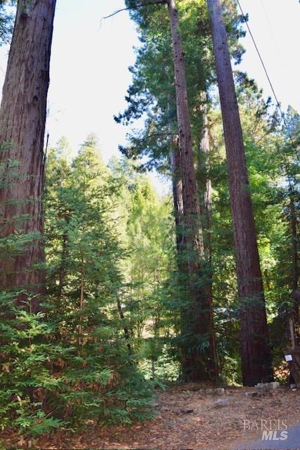 8189 Tyrone Rd, Occidental, CA 95462