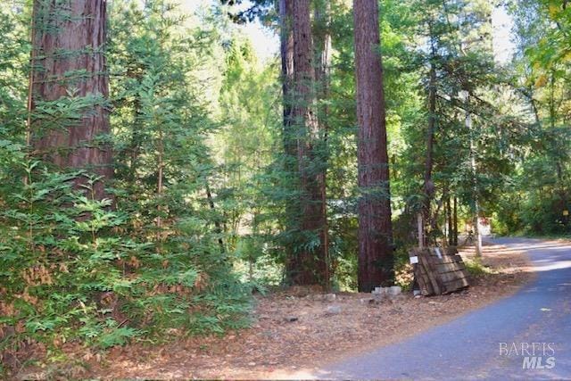 8189 Tyrone Rd, Occidental, CA 95462