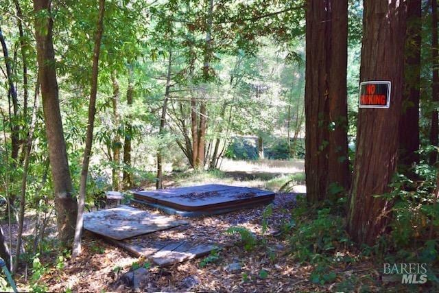 8189 Tyrone Rd, Occidental, CA 95462