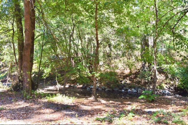 8189 Tyrone Rd, Occidental, CA 95462