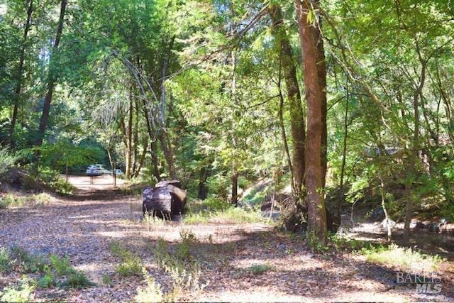 8189 Tyrone Rd, Occidental, CA 95462