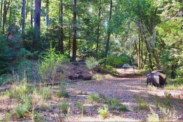 8189 Tyrone Rd, Occidental, CA 95462