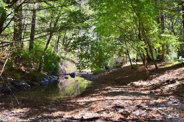 8189 Tyrone Rd, Occidental, CA 95462