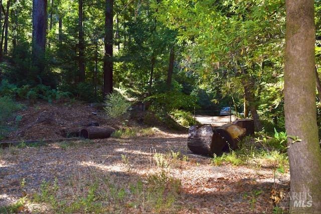 8189 Tyrone Rd, Occidental, CA 95462