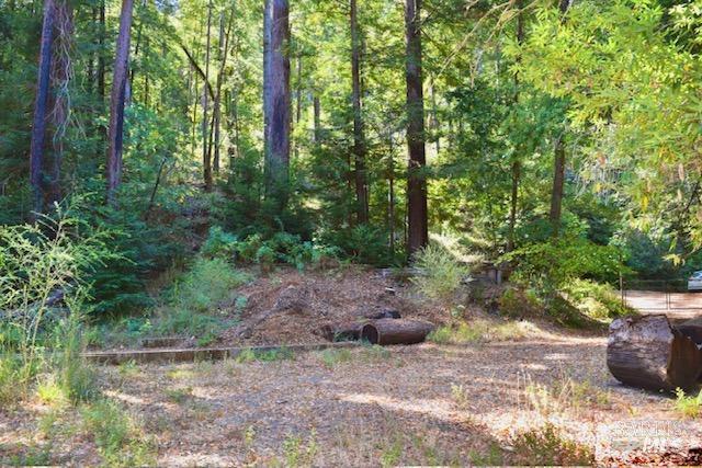 8189 Tyrone Rd, Occidental, CA 95462
