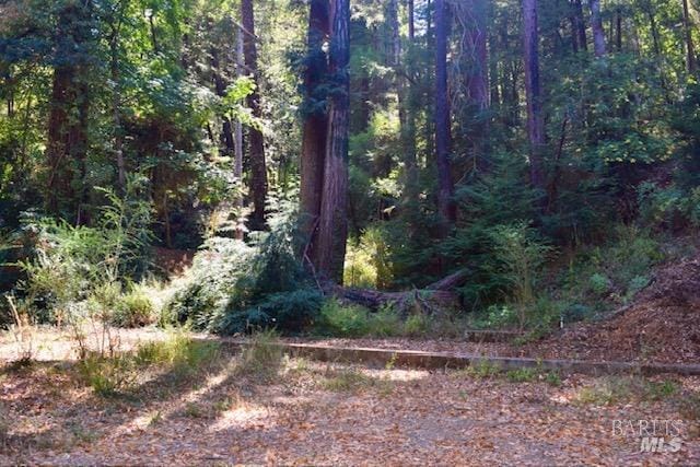 8189 Tyrone Rd, Occidental, CA 95462