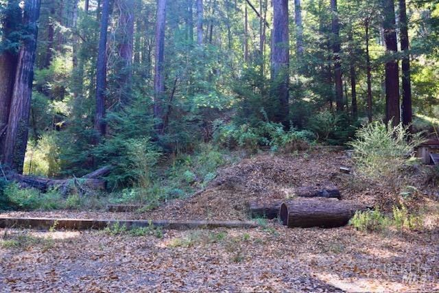 8189 Tyrone Rd, Occidental, CA 95462
