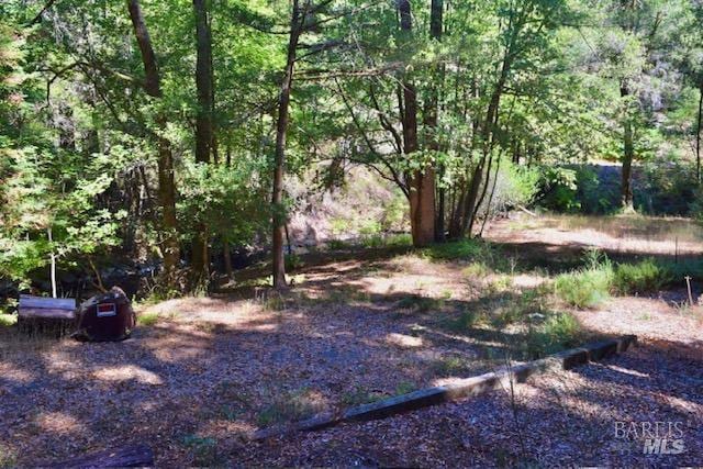 8189 Tyrone Rd, Occidental, CA 95462