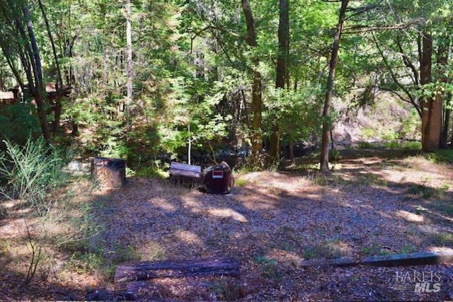 8189 Tyrone Rd, Occidental, CA 95462