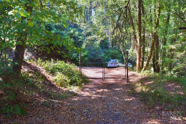 8189 Tyrone Rd, Occidental, CA 95462