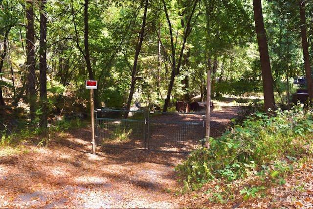8189 Tyrone Rd, Occidental, CA 95462