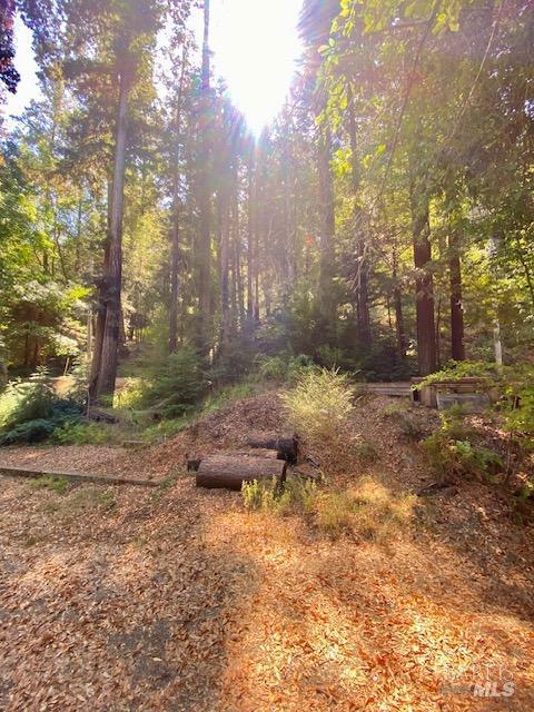 8189 Tyrone Rd, Occidental, CA 95462