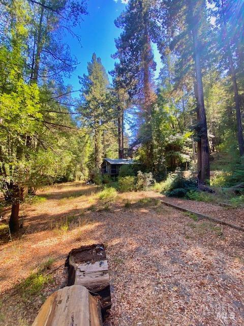 8189 Tyrone Rd, Occidental, CA 95462