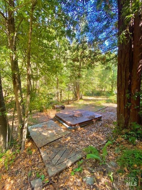 8189 Tyrone Rd, Occidental, CA 95462