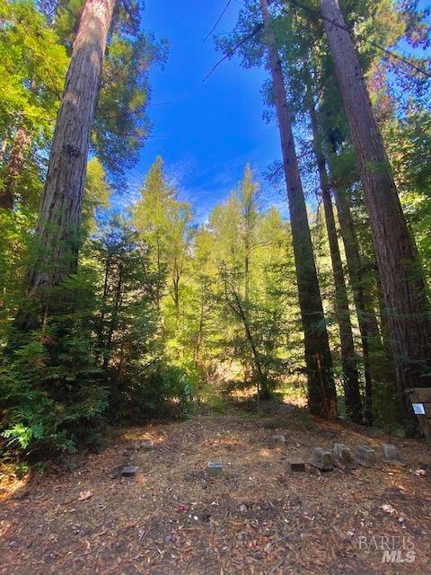 8189 Tyrone Rd, Occidental, CA 95462