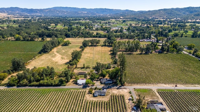 bird's eye view featuring a mountain view and a rural view