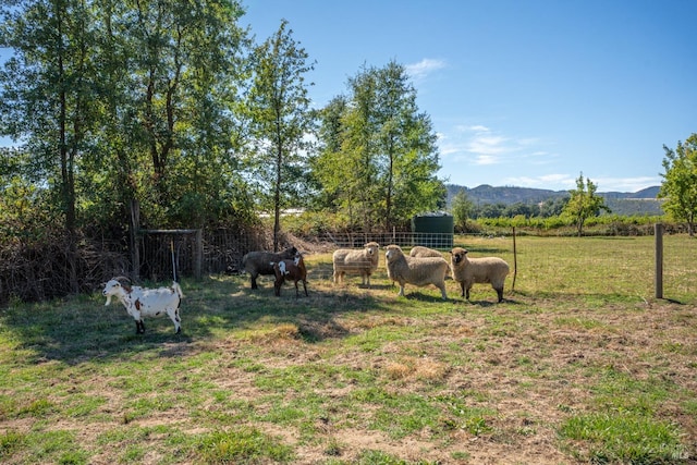 view of yard featuring a mountain view and a rural view