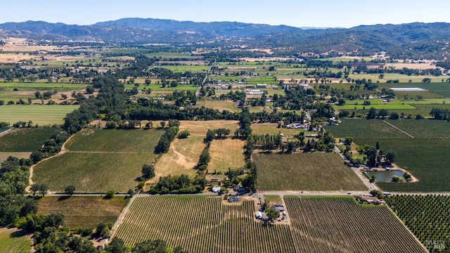 birds eye view of property with a mountain view and a rural view