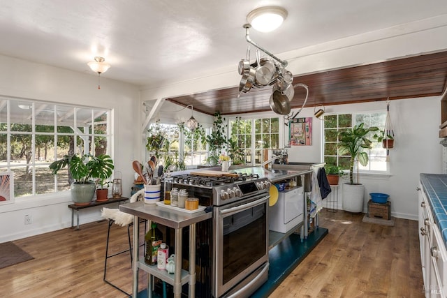 kitchen with wood-type flooring, white cabinetry, plenty of natural light, and high end stainless steel range