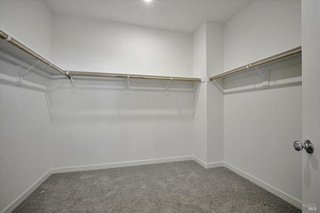 spacious closet featuring carpet