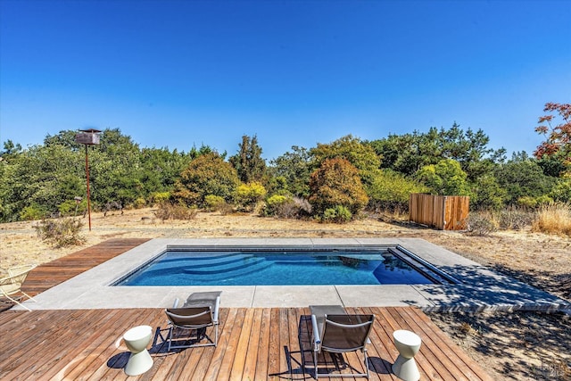 view of swimming pool with a jacuzzi