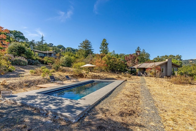 view of swimming pool