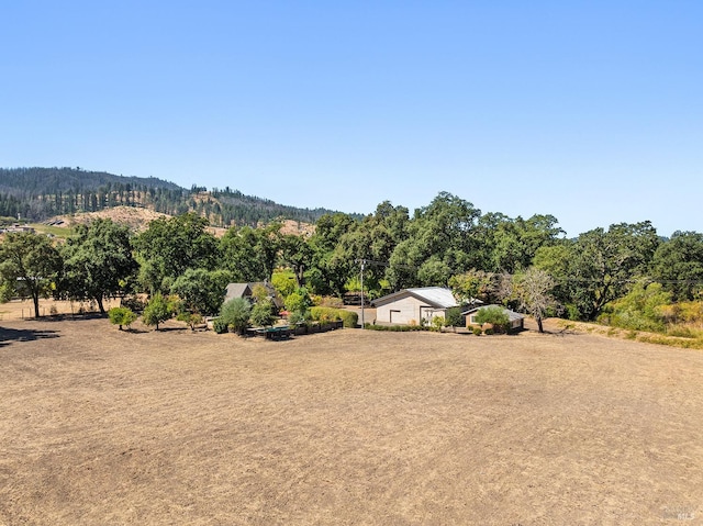 view of yard featuring a mountain view and a rural view