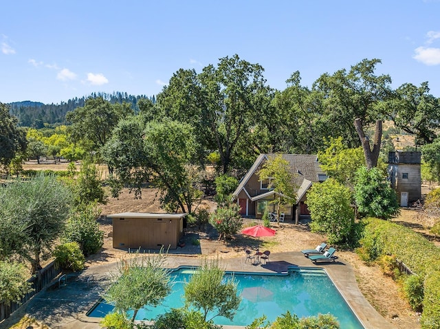 view of swimming pool with a patio and a jacuzzi